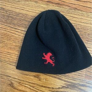 Express Beanie